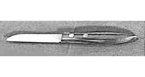 PARING KNIFE 60mm-STAINLESS STEELWITH PLASTIC HANDLE, Price for 1, IMPA 172360, ISSA 2539501, Weight 0.10Kg HS Code: 39241000 Origin: CHINA
