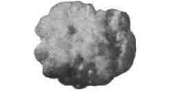 Oil absorbent pellet 20 kg, Price Per pc, IMPA 232524, 232521 , Weight: 20Kg, HS Code 56031290, Origin NL